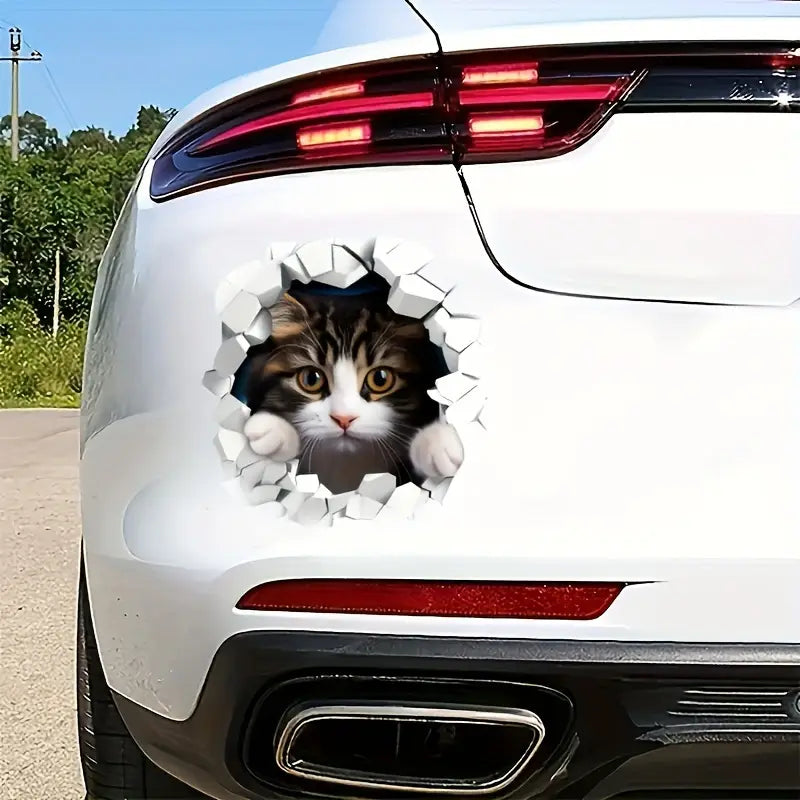 Cat Sticker for car scratches (Pack of 4) For all car colors whatever you have