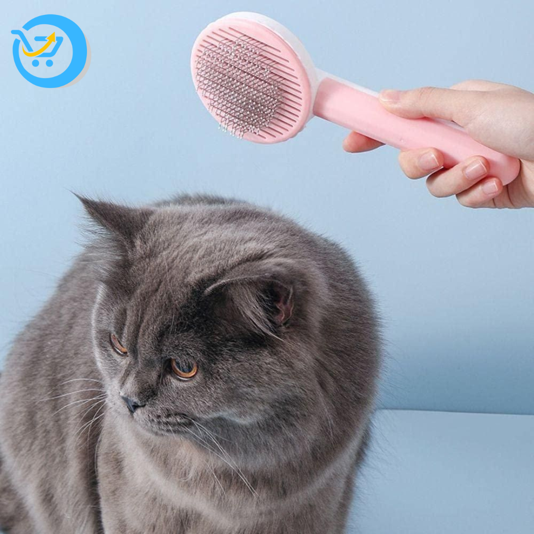 Pet Hair Removal Brush